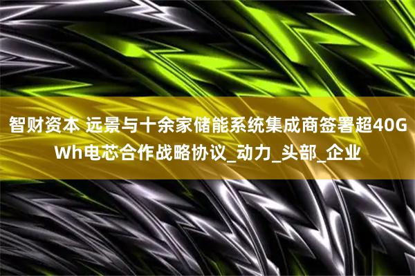 智财资本 远景与十余家储能系统集成商签署超40GWh电芯合作战略协议_动力_头部_企业