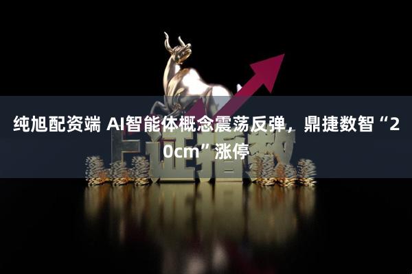 纯旭配资端 AI智能体概念震荡反弹，鼎捷数智“20cm”涨停