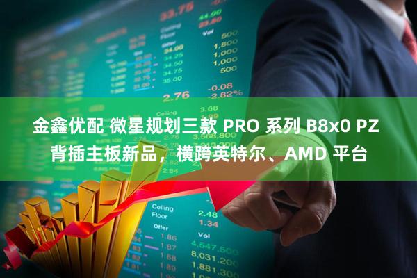 金鑫优配 微星规划三款 PRO 系列 B8x0 PZ 背插主板新品，横跨英特尔、AMD 平台