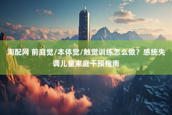 淘配网 前庭觉/本体觉/触觉训练怎么做？感统失调儿童家庭干预指南